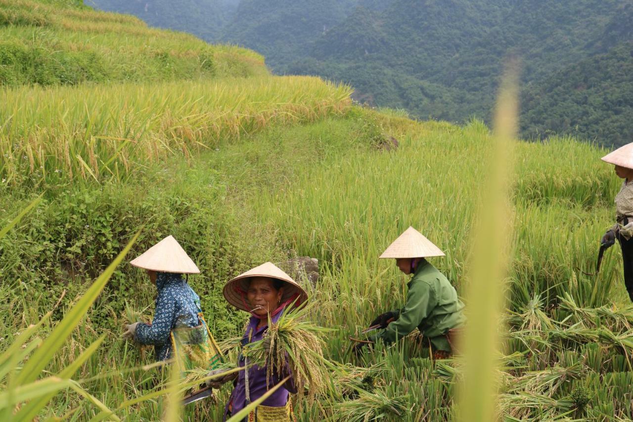 Pu Luong Ecolodge Экстерьер фото
